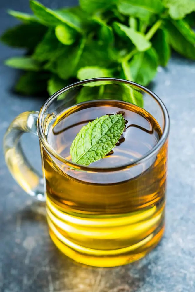 Spearmint and Dandelion Tea
